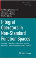 Integral Operators in Non-Standard Function Spaces