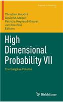 High Dimensional Probability VII