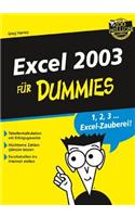 Excel 2003 Fur Dummies
