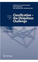 Classification - The Ubiquitous Challenge