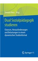 Dual Sozialpädagogik Studieren