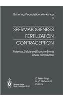 Spermatogenesis — Fertilization — Contraception