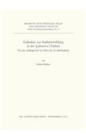 Gedanken Zur Stadtentwicklung in Der Cukurova (Turkei)