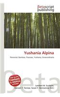 Yushania Alpina: (English)