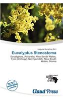 Eucalyptus Stenostoma