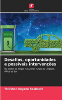 Desafios, oportunidades e possíveis intervenções