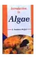 Introduction to Algae