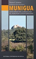 Munigua: Un recorrido por la arqueologia del Municipium Flavium Muniguense
