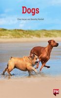 DOGS