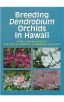 Breeding Dendrobium Orchids in Hawaii