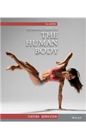 Introduction to the Human Body