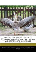 The in the Know Guide to Domesticated Animals