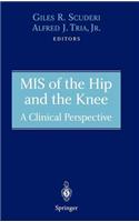 MIS of the Hip and the Knee: A Clinical Perspective