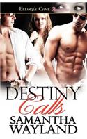 Destiny Calls
