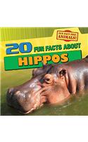 20 Fun Facts about Hippos