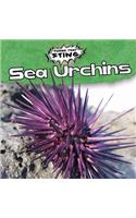 Sea Urchins