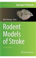 Rodent Models of Stroke