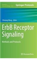 ErbB Receptor Signaling