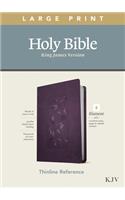 KJV Large Print Thinline Reference Bible, Filament Edition