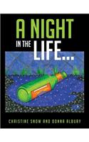 A Night in the Life...