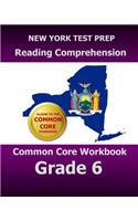 New York Test Prep Reading Comprehension Common Core Workbook Grade 6