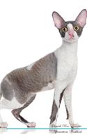 Cornish Rex Affirmations Workbook Cornish Rex Presents: Positive and Loving Affirmations Workbook. Includes: Mentoring Questions, Guidance, Supporting You.