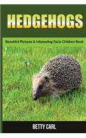 Hedgehog: Beautiful Pictures & Interesting Facts Children Book About Hedgehogs