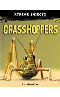 Grasshoppers