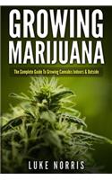 Growing Marijuana