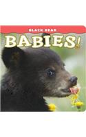 Black Bear Babies!