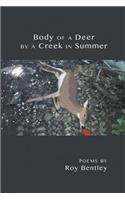 Body of a Deer by a Creek in Summer