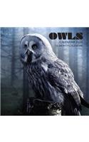 Owls Calendar 2020: 16 Month Calendar