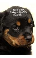 Weekly And Monthly Planner: Organize Your Daily Activities At Home School And Office - Black Rottwiler Puppy