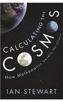 Calculating the Cosmos