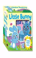 Little Bunny (Book & Plush 3)