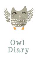 Owl Diary: Owl Notebook - College Rule Lined Writing and Notes Journal