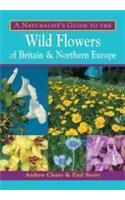 A Naturalist's Guide to the Wild Flowers of Britain & Northern Europe