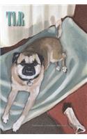 Tahoma Literary Review