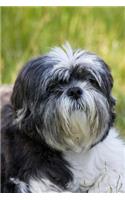 Shih Tzu Notebook