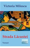 Strada Lacustei: Versuri
