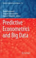 Predictive Econometrics and Big Data