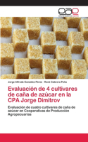 Evaluación de 4 cultivares de caña de azúcar en la CPA Jorge Dimitrov