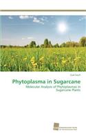 Phytoplasma in Sugarcane