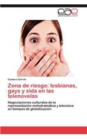Zona de Riesgo: Lesbianas, Gays y Sida En Las Telenovelas(Spanish)