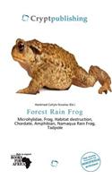 Forest Rain Frog