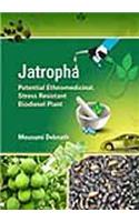 Jatropha: Potential Ethnomedicinal, Stress Resistant Biodiesel Plant