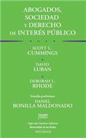 Abogados, sociedad y derecho de interés público