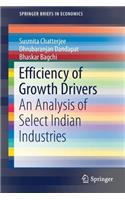 Efficiency of Growth Drivers