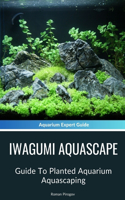 Iwagumi Aquascape