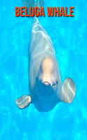 Beluga Whale